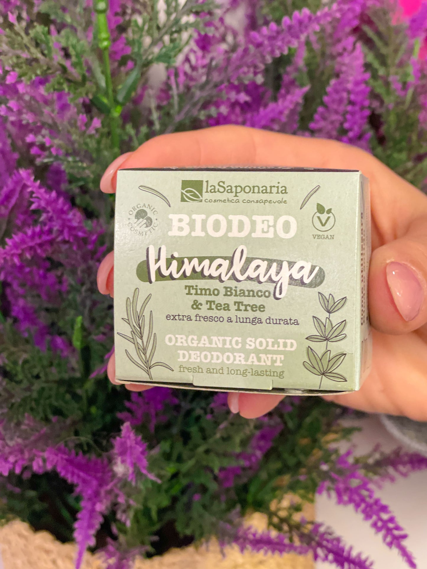 La Saponaria Biodeo Solidi